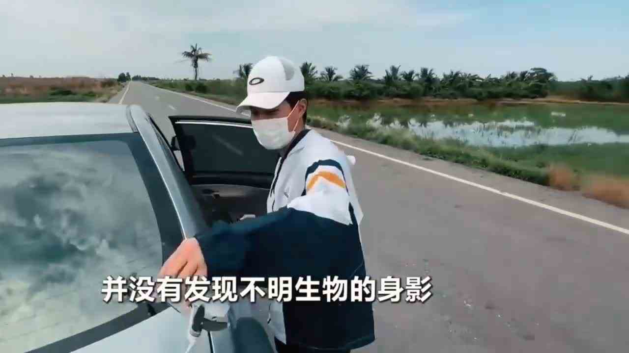 有人发现了怪异的不明生物，可它很邪恶，追着我的汽车跑了很远