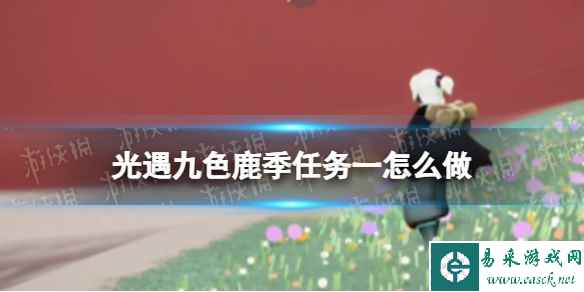 网1
