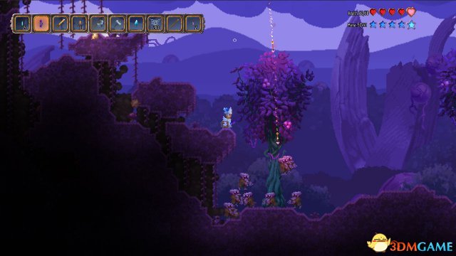 泰拉瑞亚：来世 游戏截图