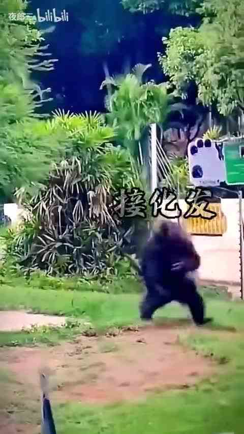 主打的就是嘚瑟，你奈我何，你过来啊。