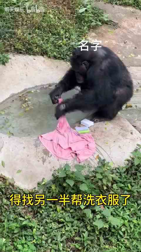 【明天娱乐】最新视频已上线，快来围观！