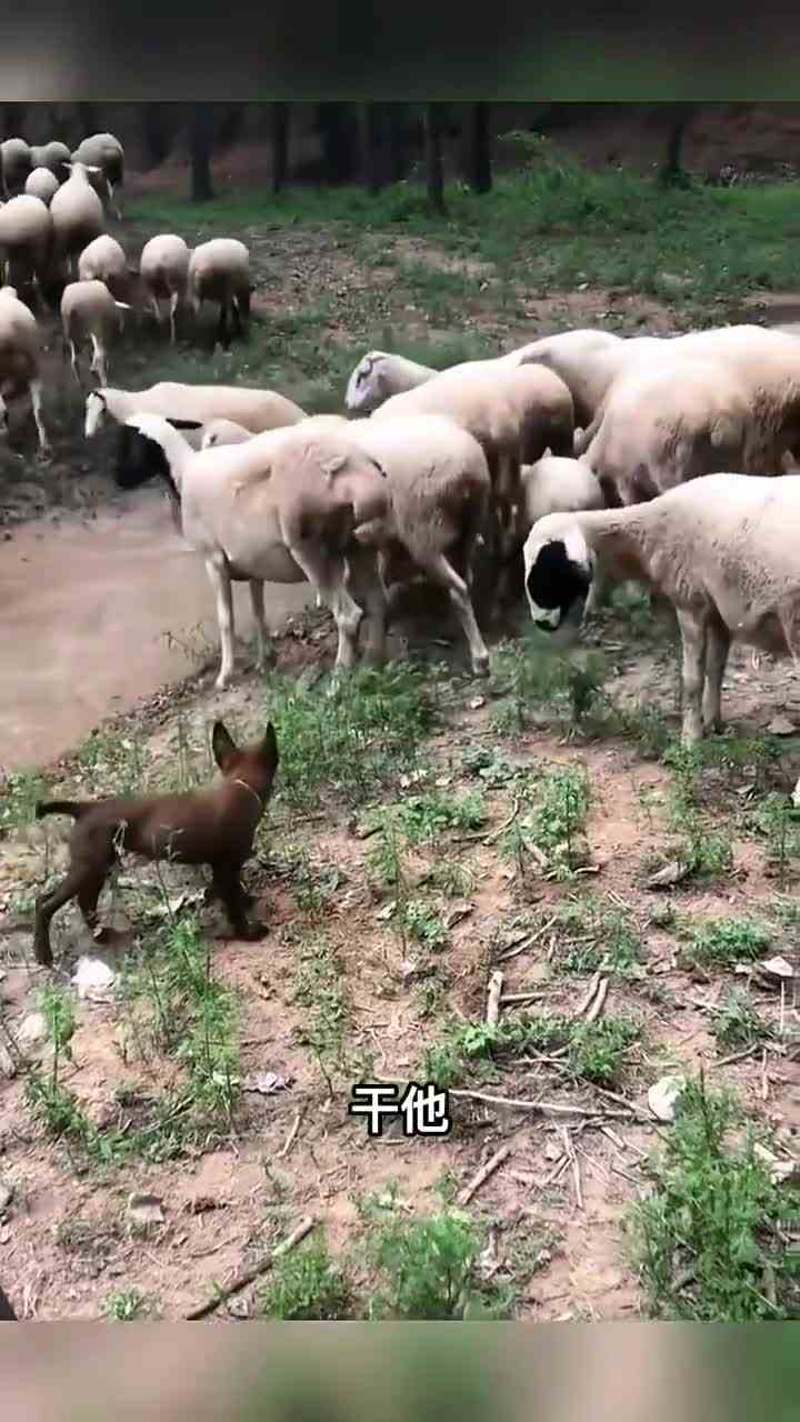 从小就得锻炼cok