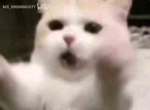 最新视频来袭，快来看看吧！