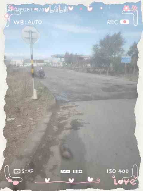 最新视频来袭，快来看看吧！ （5）