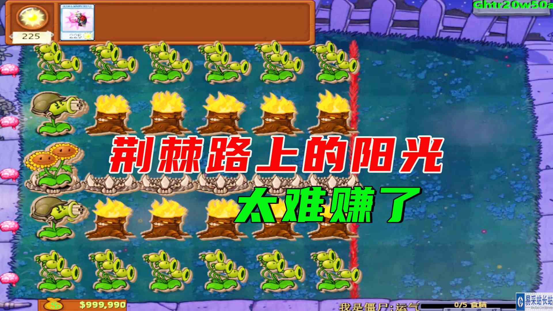 植物大战僵尸：荆棘路上的阳光真难吃，阳光使用如流水，倒霉小子