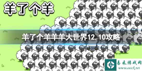 网1