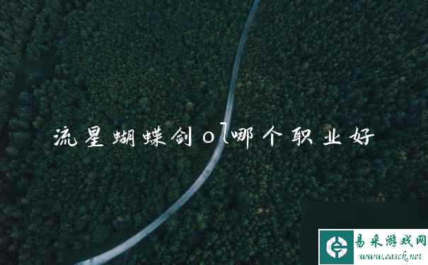 流星蝴蝶剑ol哪个职业好