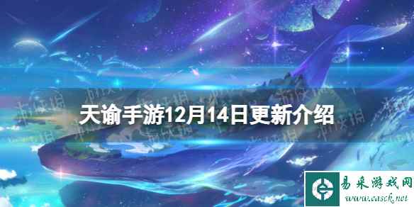 网1