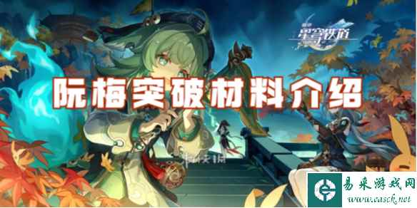 网1