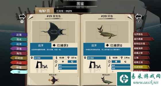 网5