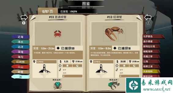 网7