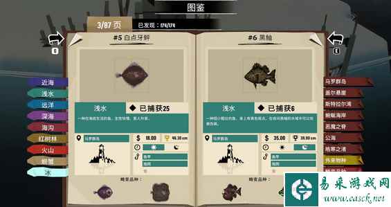 网4
