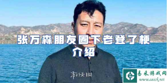 张万森朋友圈下老登了梗介绍
