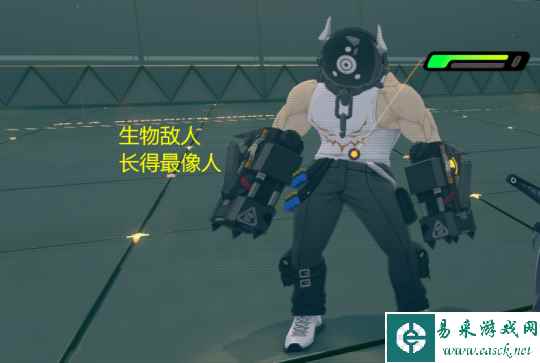 网3