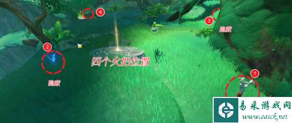 网6
