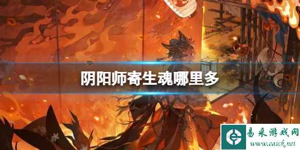 阴阳师寄生魂哪里多