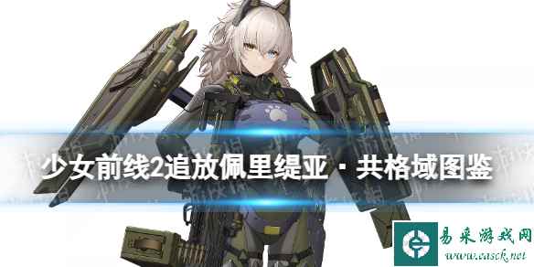 网1