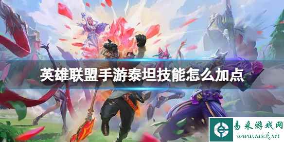 网1