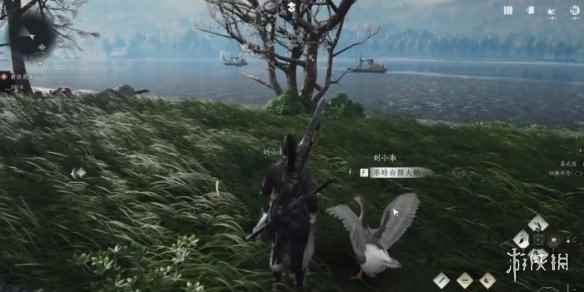 网5