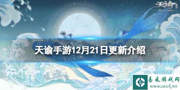 网1