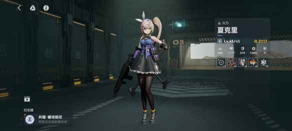 网2