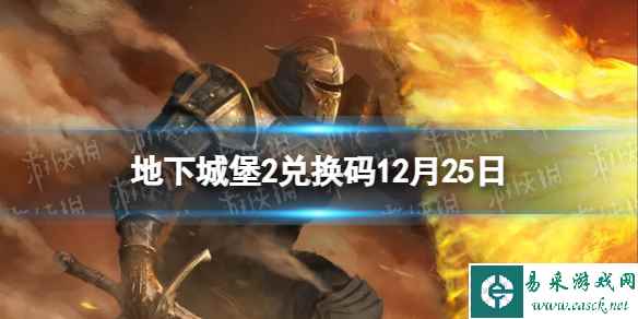 《地下城堡2黑暗觉醒》2023年12月25日新增兑换码