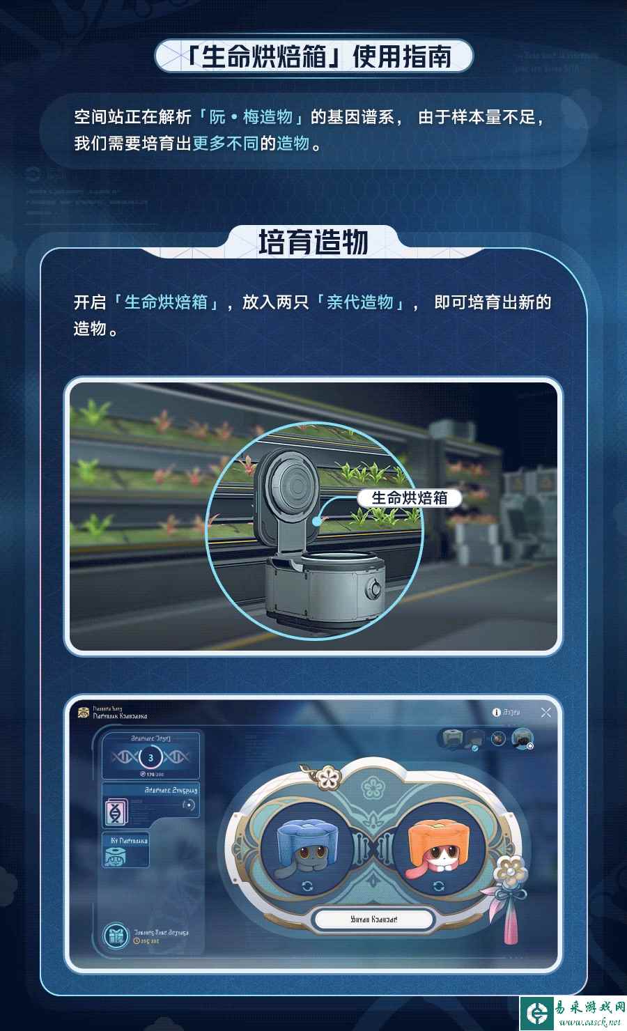 网