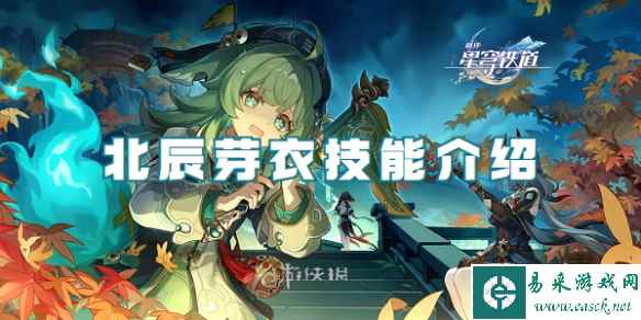 网1