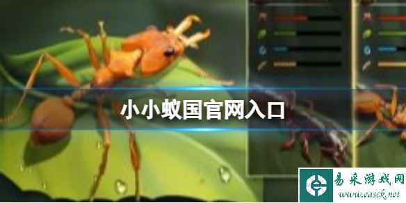 网1