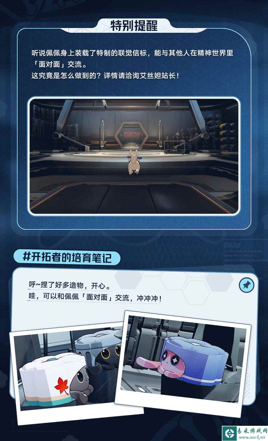 网