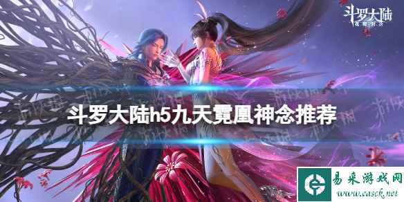 网1