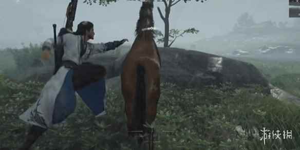 网3