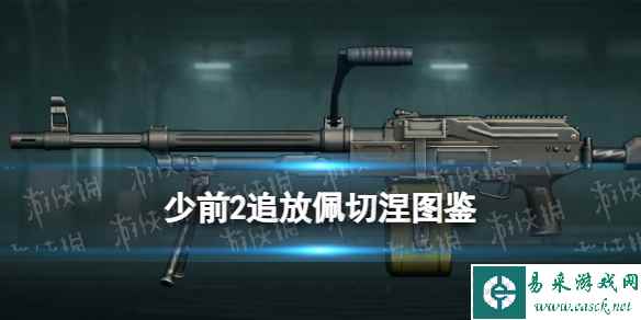 《少女前线2追放》佩切涅图鉴