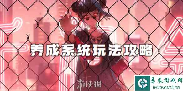 网1