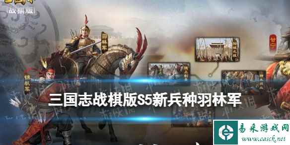 网1