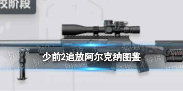 网1