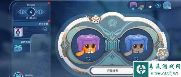 网2