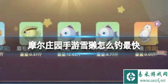 摩尔庄园手游雪獭怎么钓最快