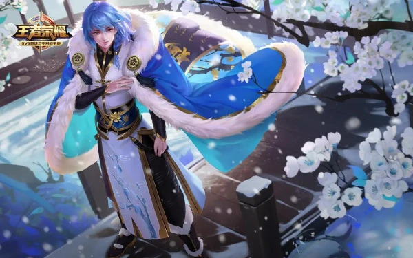网4