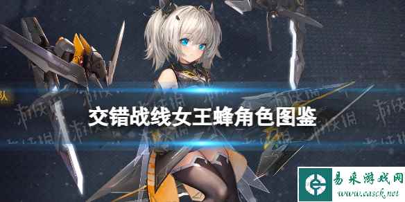 《交错战线》女王蜂角色图鉴