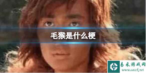 毛猴是什么梗