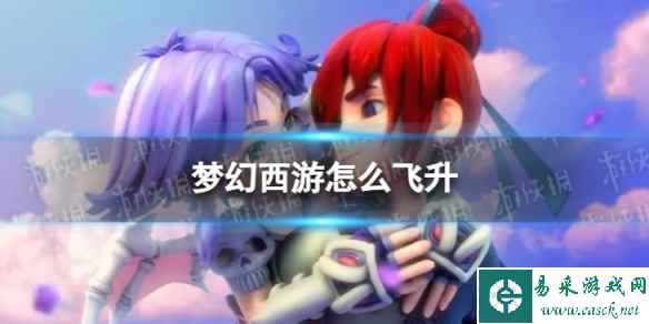 网1