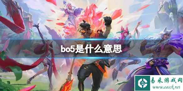 网1