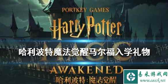 网1