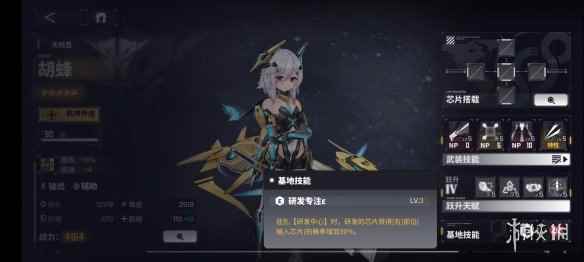 网11