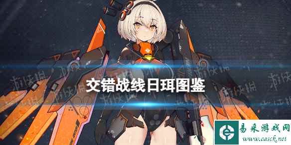 网1