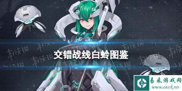 网1