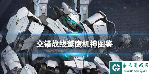 网1