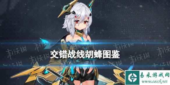 网1