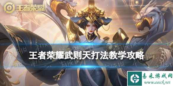 网1